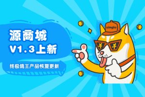 源商城V1.3版本-最专业的虚拟产品销售平台程序